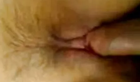 Latinok Bernard, ingyen pornok Jules Fasz óvszer nélkül